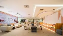 library_image_133.webp